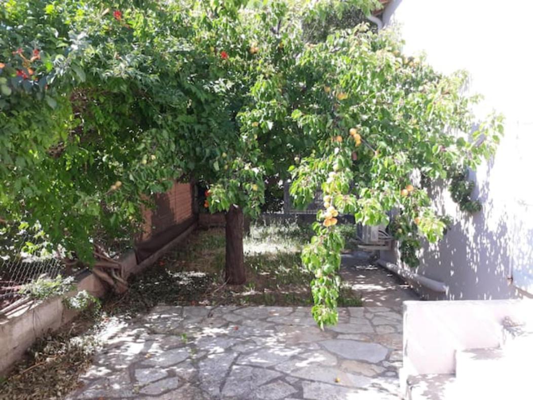 Appartement Le Galli En Plein Coeur De *